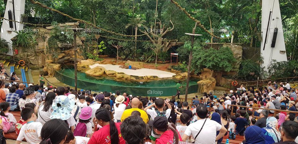 group of people watching the show