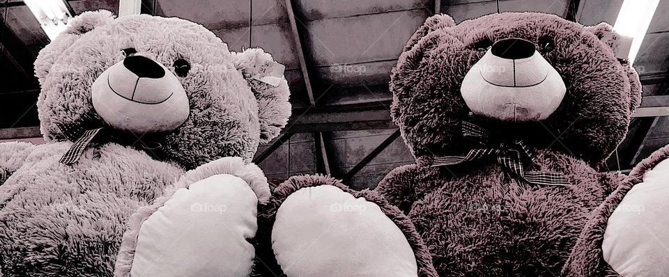 Teddy bears on campers chairs