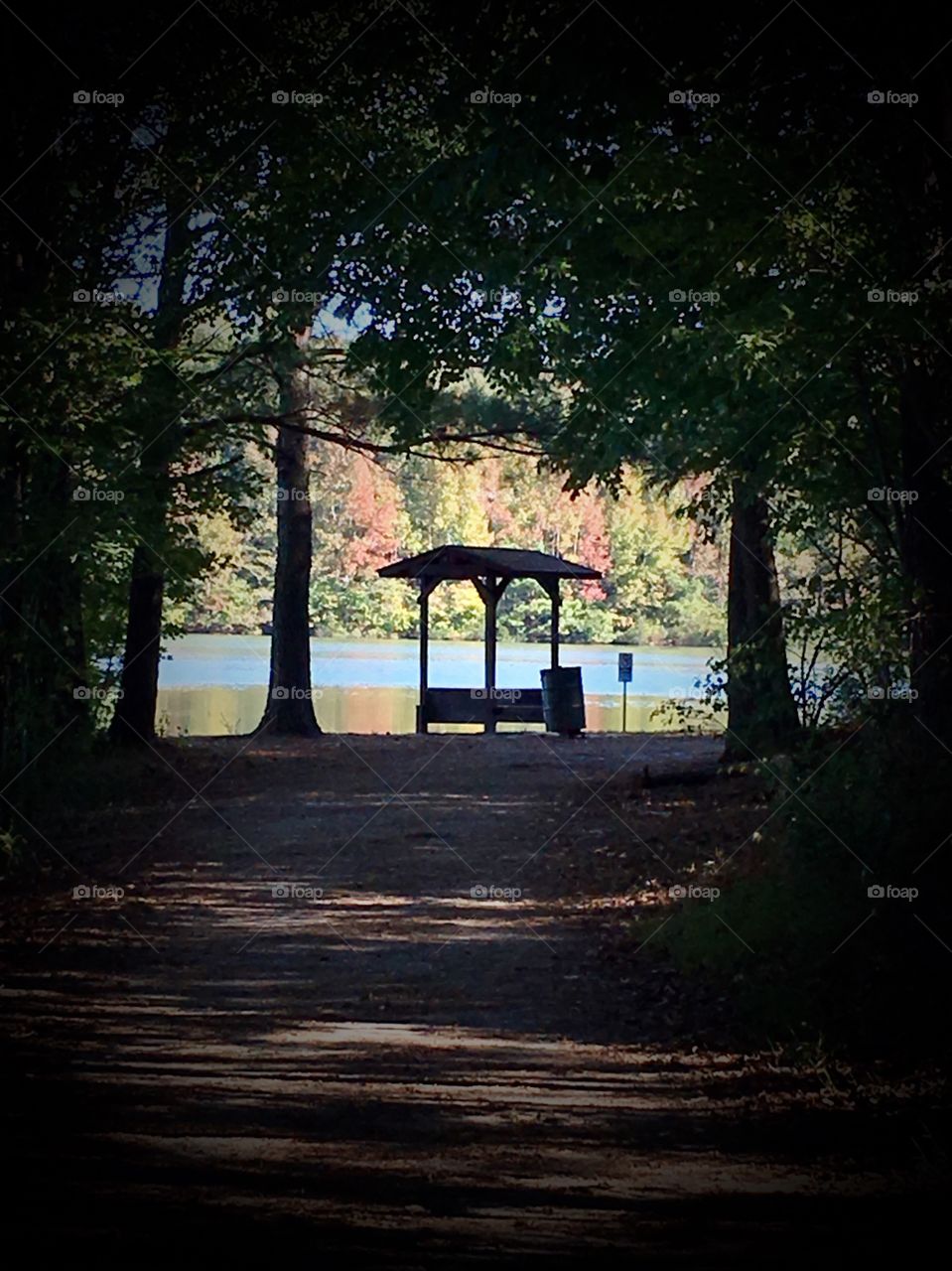 Picnic table in the park