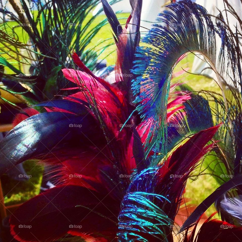 Feathers . Brilliant coloured feathers at the flea market.