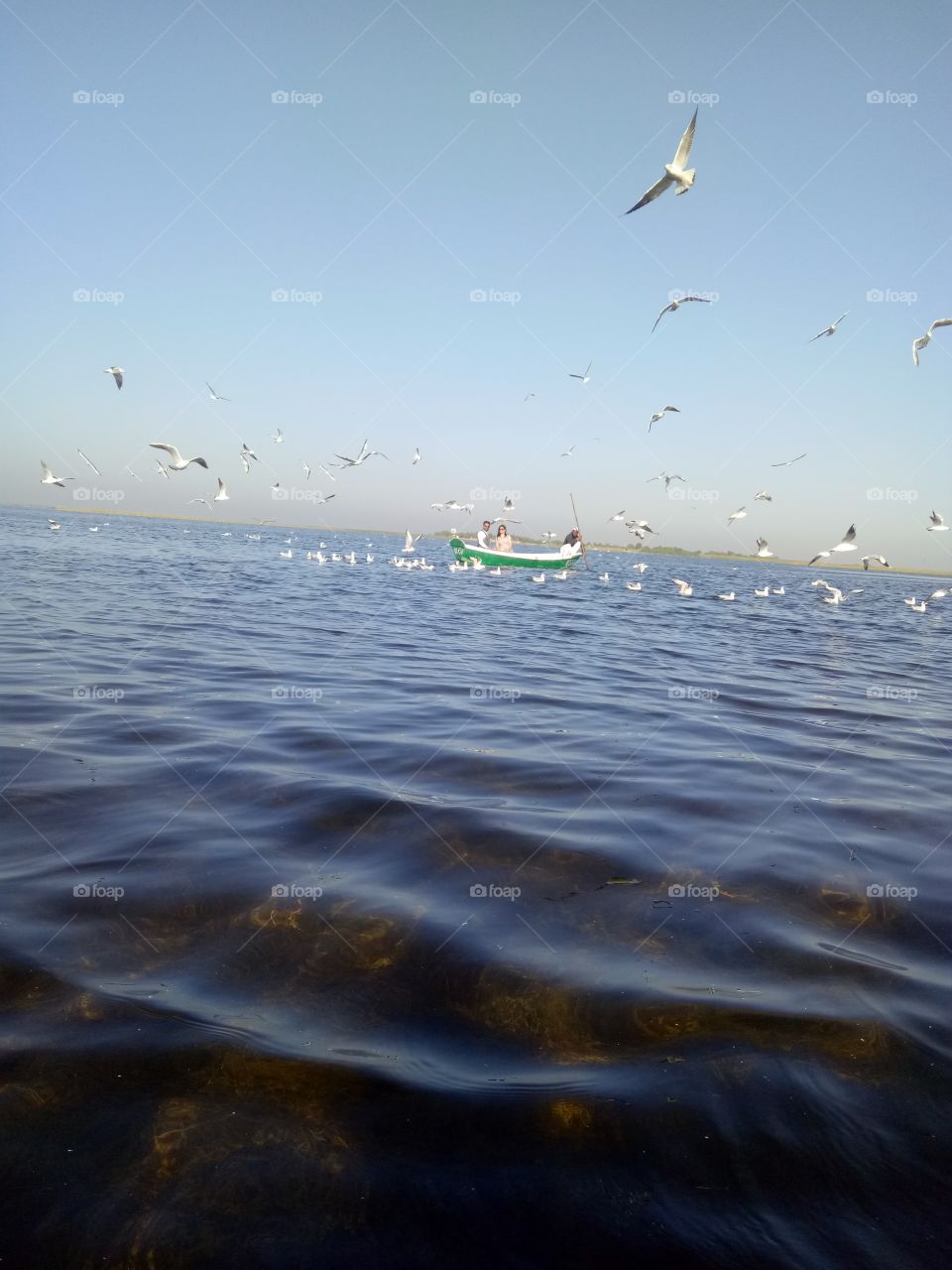 Boting in lake with bird
