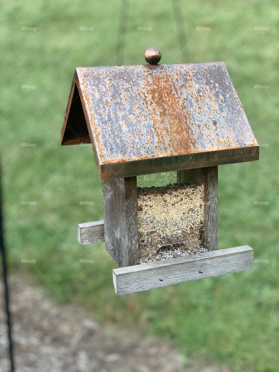 Pretty little wooden birdhouse with bird seed in the front yard. If only there was a cardinal or robin it’d be perfect!