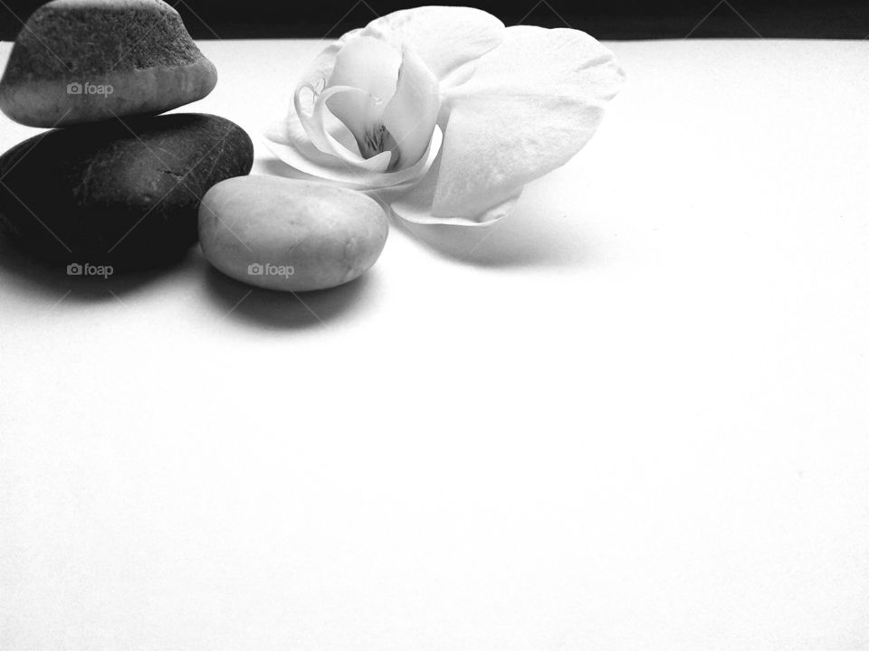 Black and white shot of stone and flower