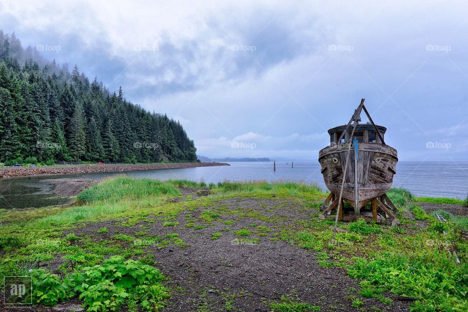 The green boat 