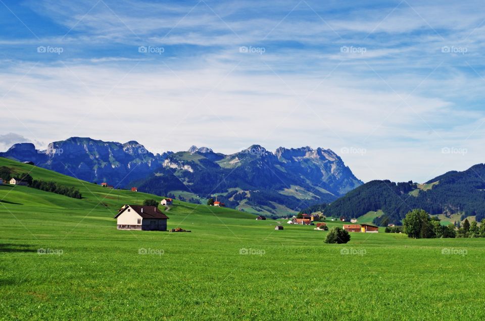 Scenic view of grass field and mountains