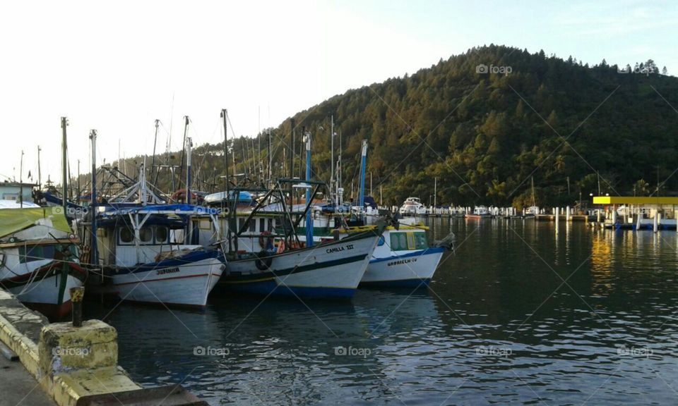 Navios, botes, barcos, mar, serras...