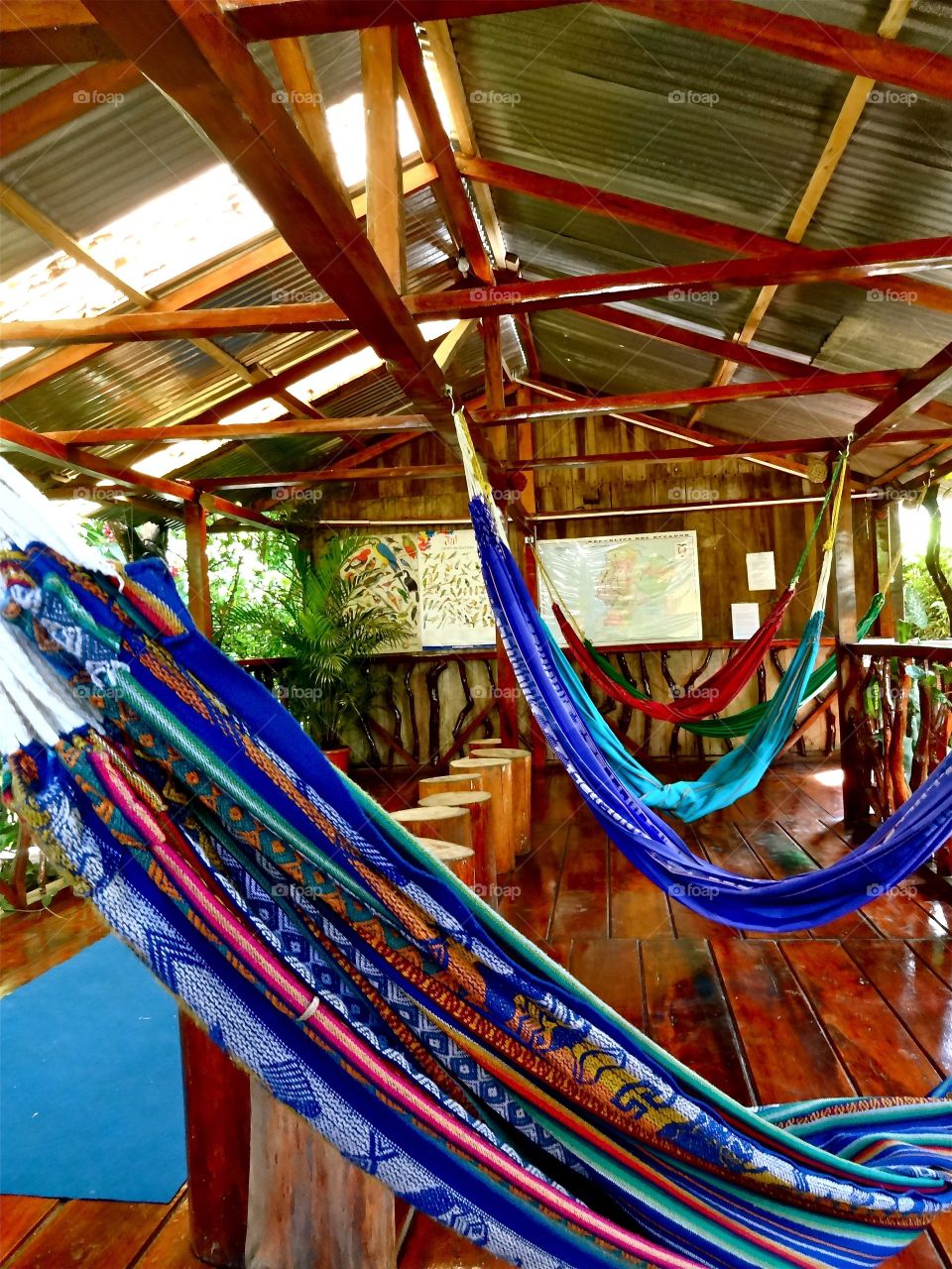 Hammock in Mindo, Ecuador 