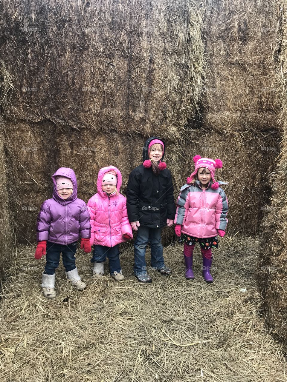 Hay maze fun!