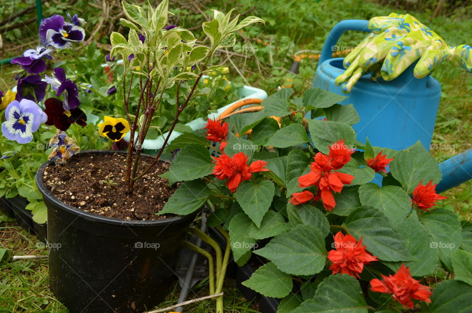 Garden work