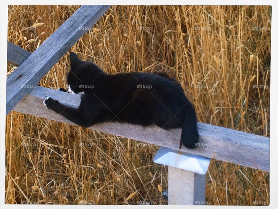 Hold on for dear life