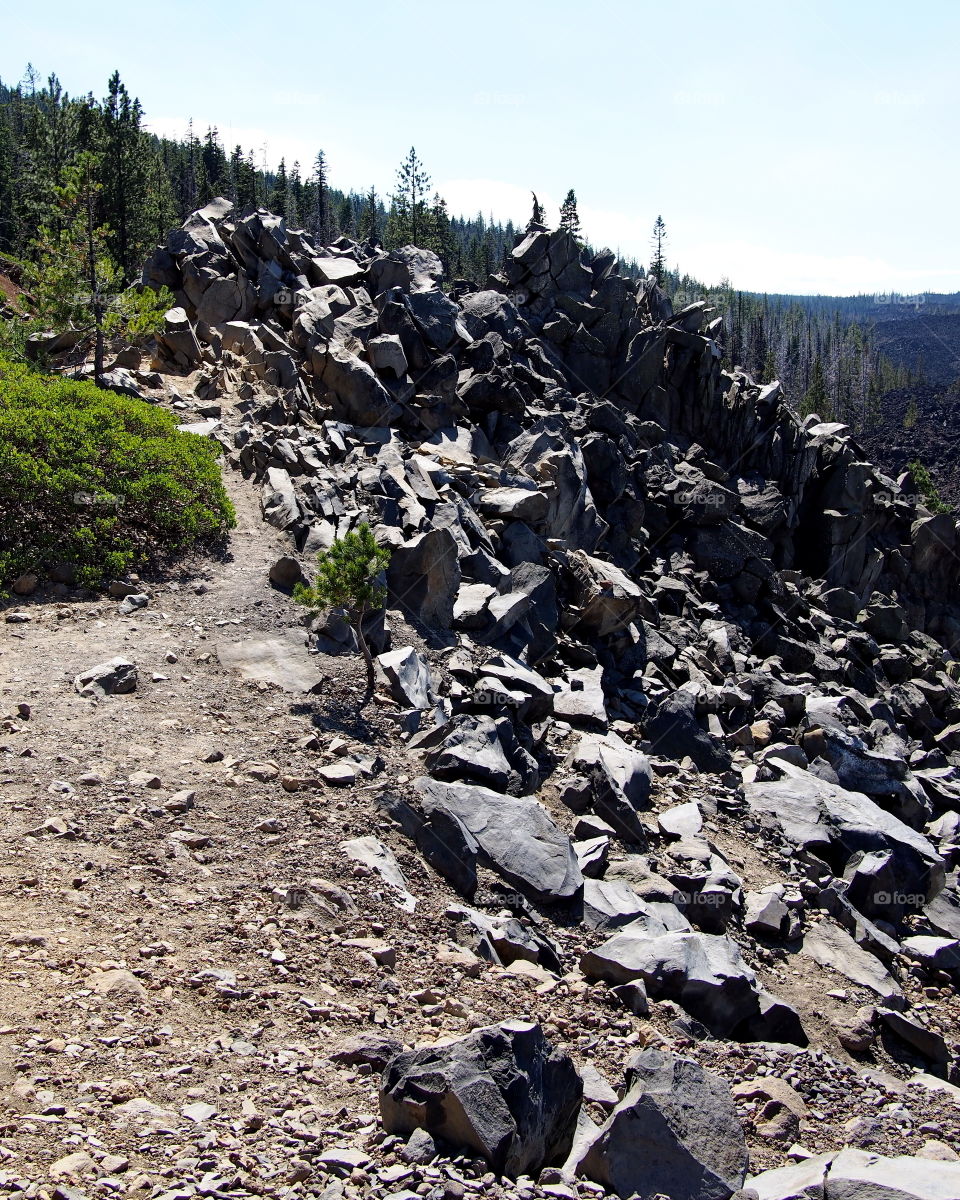 A rocky path leads to the top of a hill at Windy Point on the Old Mckenzie Highway in Oregon's Cascade Mountains. 