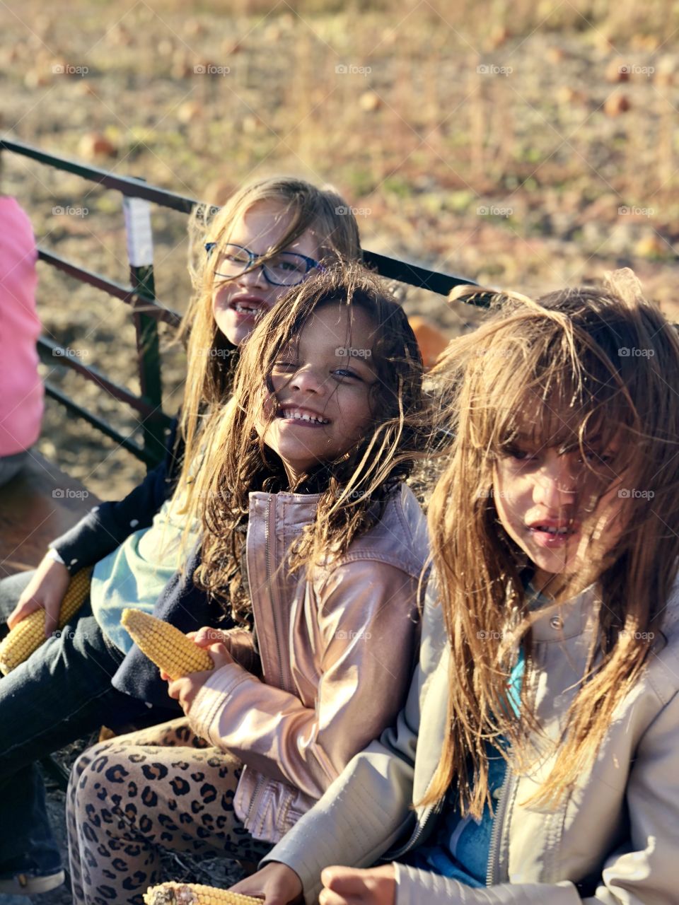 At the pumpkin patch on a windy day