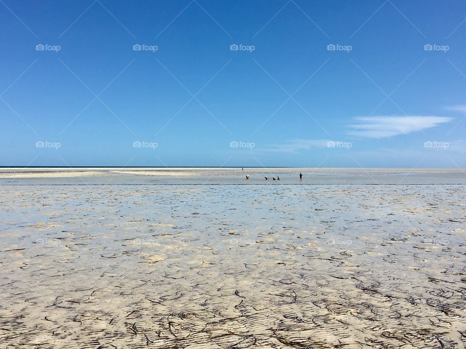 Extreme low tide, people in distance, 