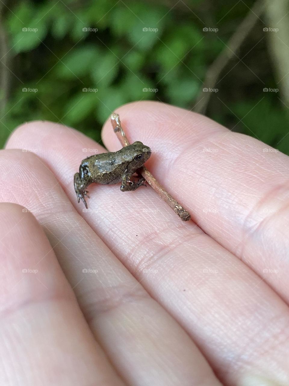 it is not become a prince 