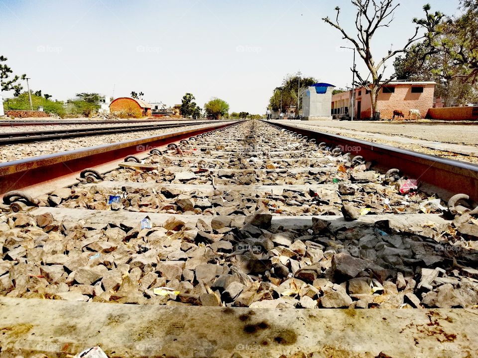 Reflects Best Companions