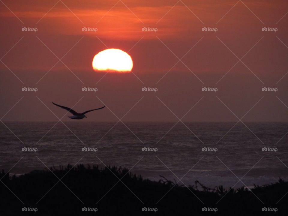 "Fly The Friendly Skies"