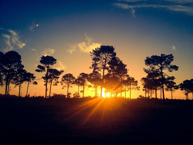 Sun downing