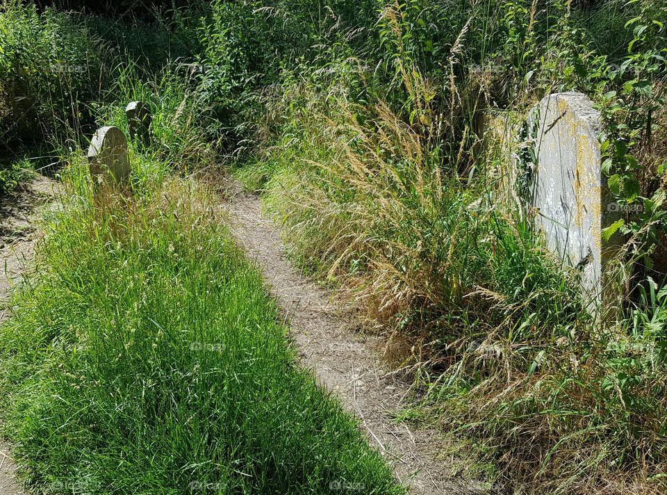 Peaceful path through a graveyard