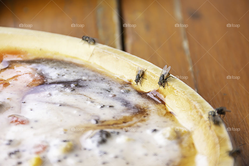 The flies that are feeding on a wooden tray.