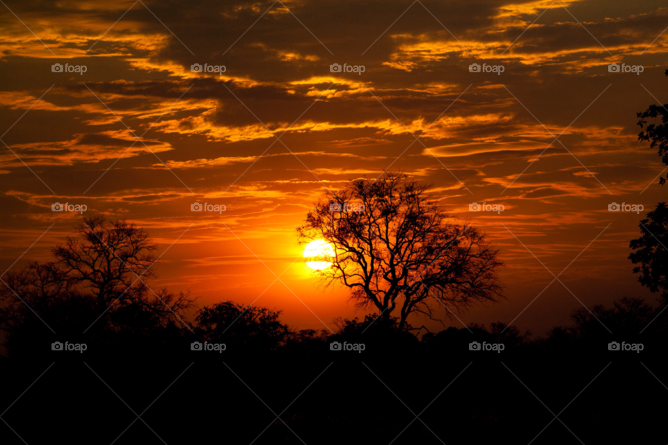 sunset botswana by Prince_Albert
