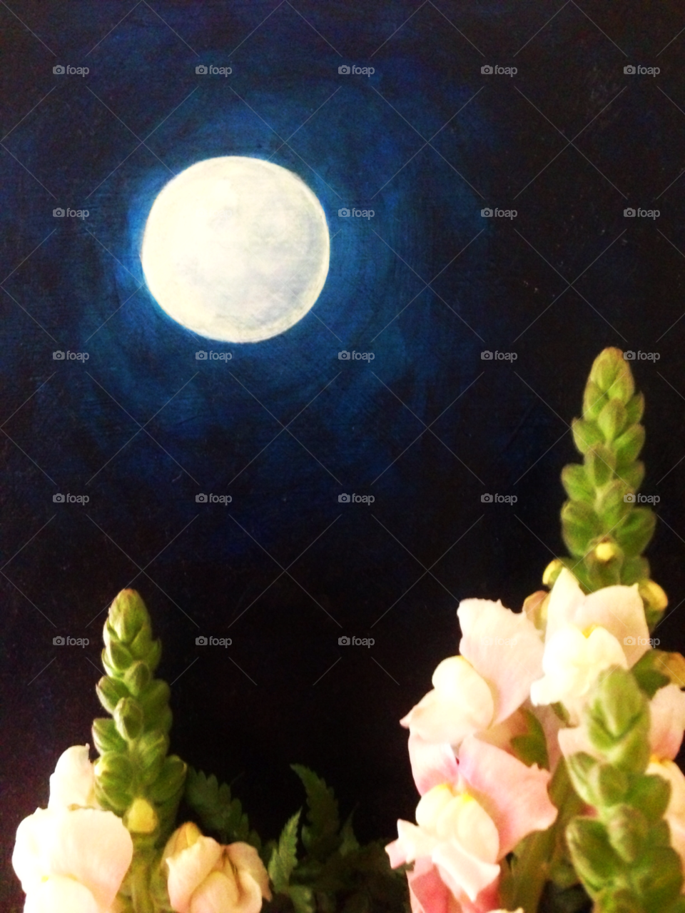 moon full moon moonlight foxglove by threeboydad