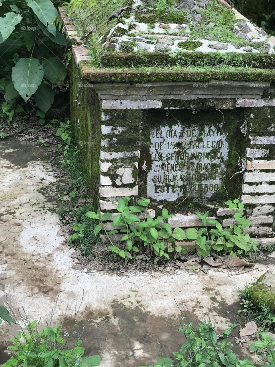 Cementery 