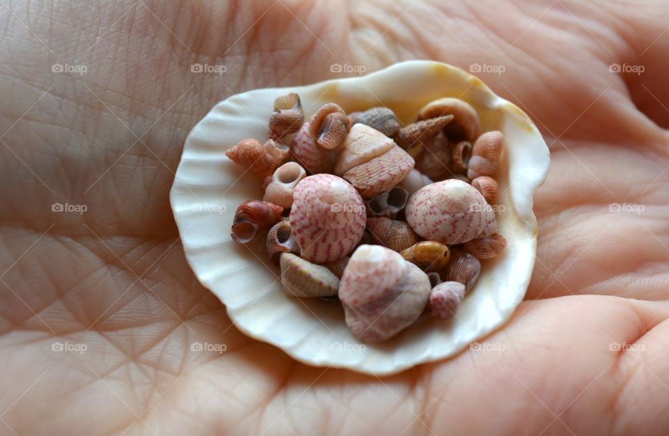 Food, No Person, Healthy, Fruit, Closeup