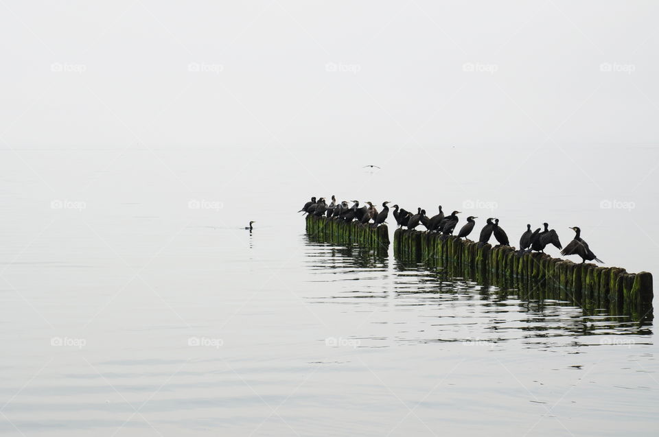 grey day at the Baltic sea in Poland