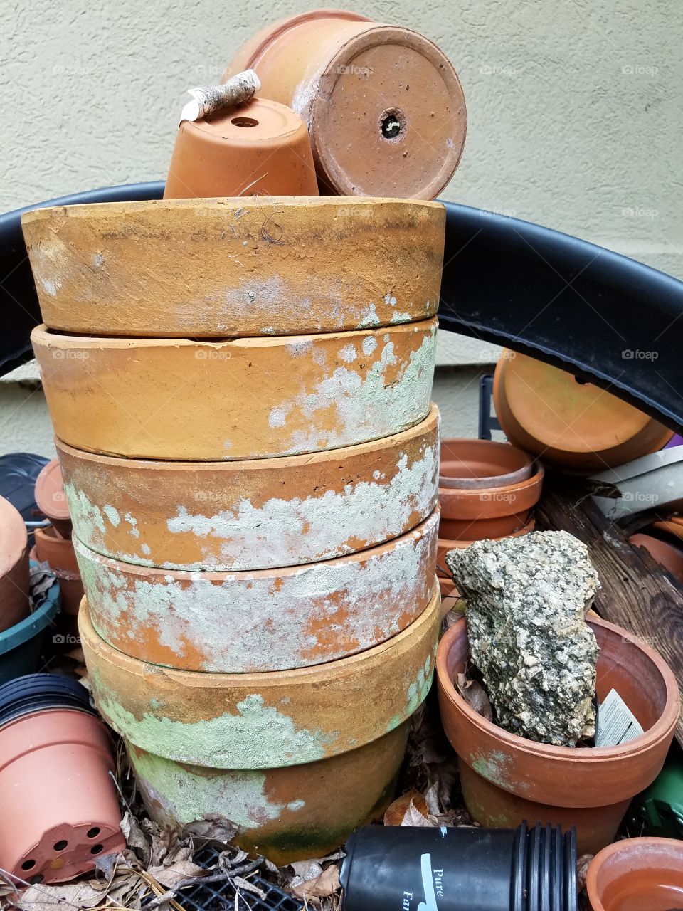 Forgotten Pots