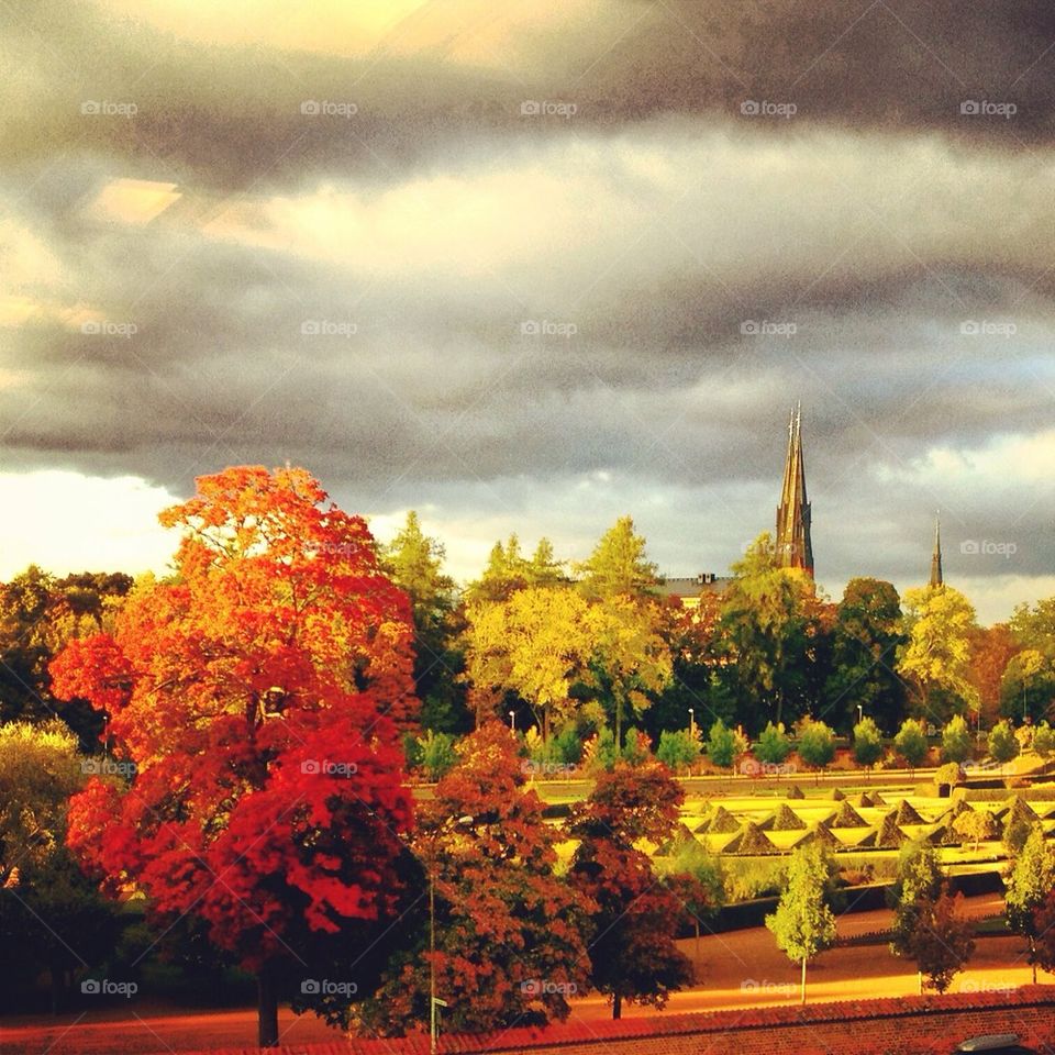 Autumn in Uppsala.