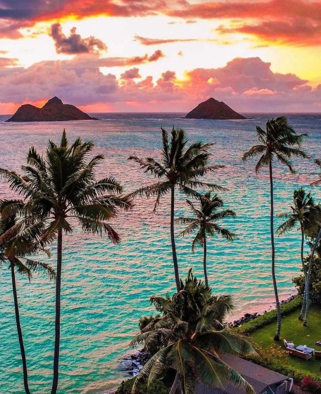 love to live in Hawaii