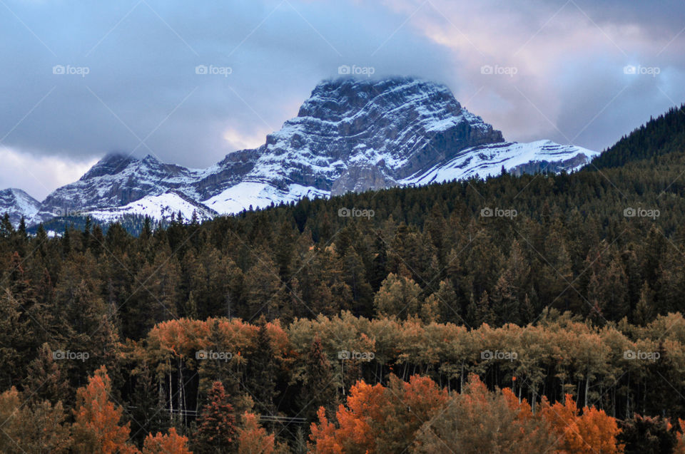 foggy sunset at Canmore. Autumn colours in the Rocky mountains, Canada