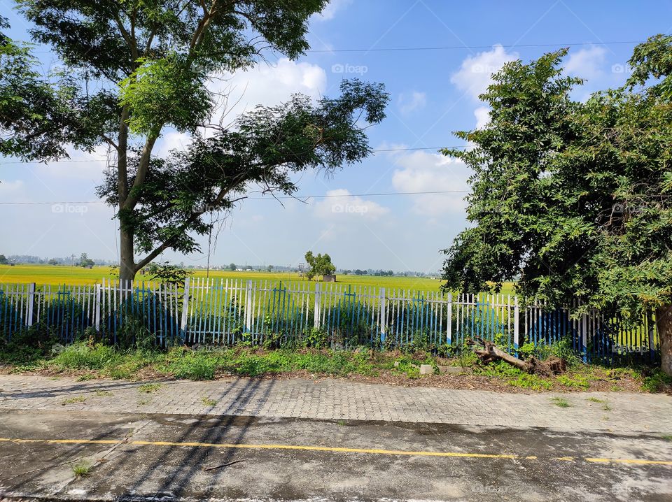 View of a field and fence and beautiful sky