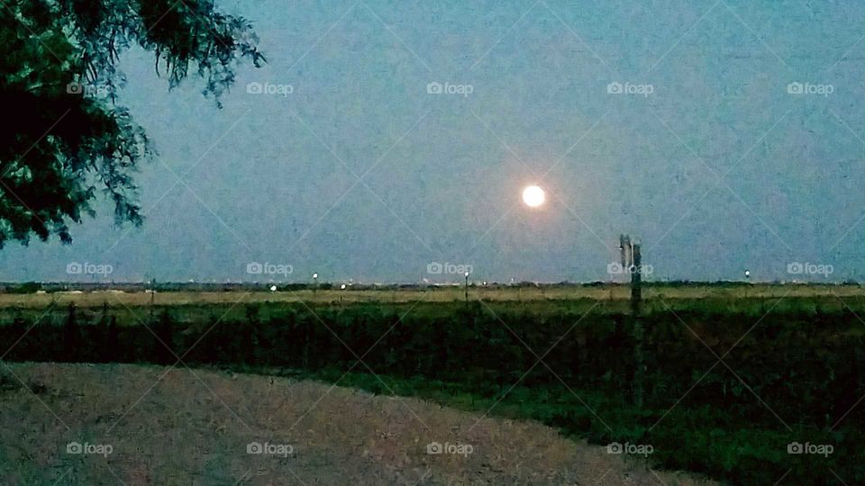Strawberry  Luna  Moon June 9th 2017 Scurry County Ira Texas