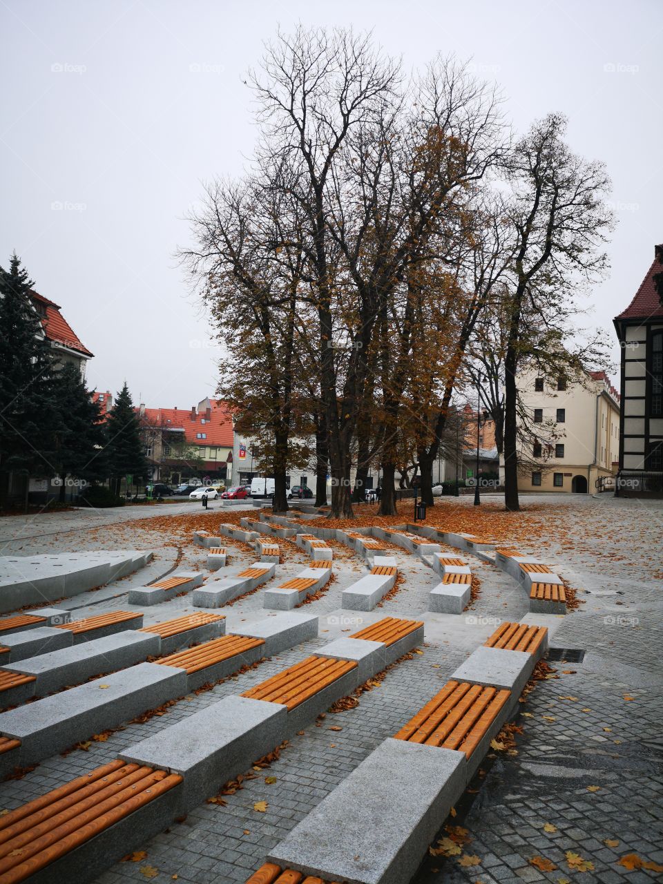 Colorful autumn in Poland. Zielona Góra