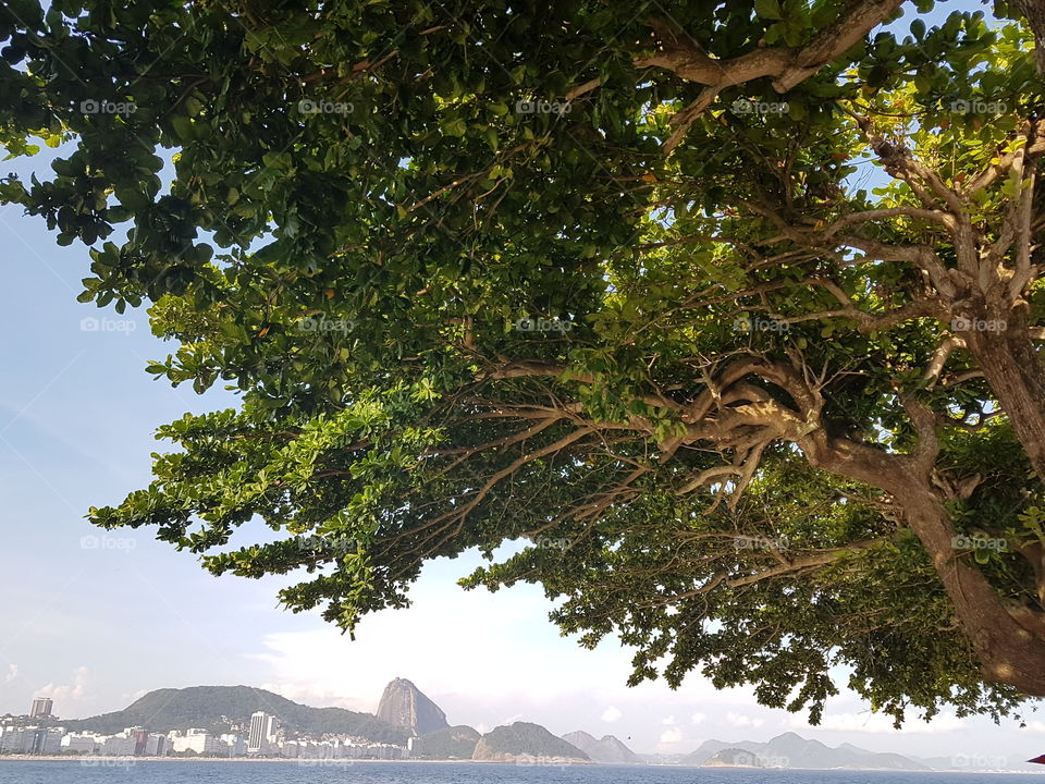 Forte Copacabana