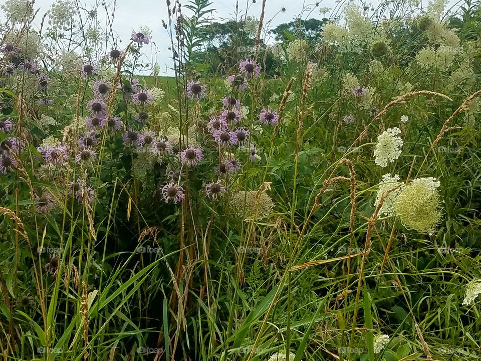 Driving the Back Roads and enjoying everything around us