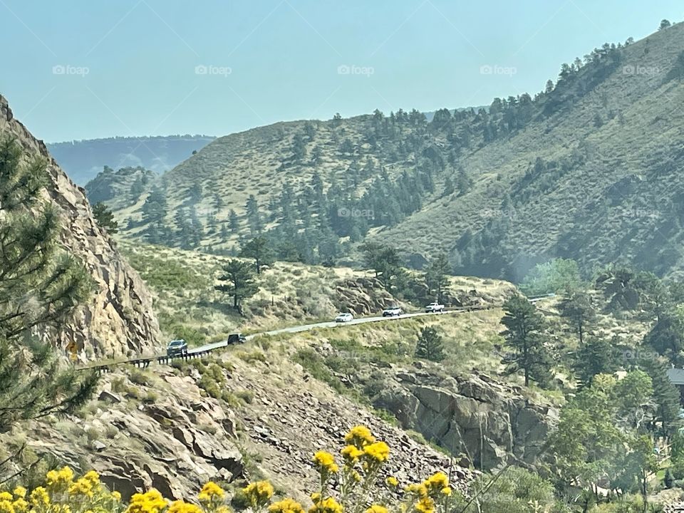 Mountains and Wildflowers