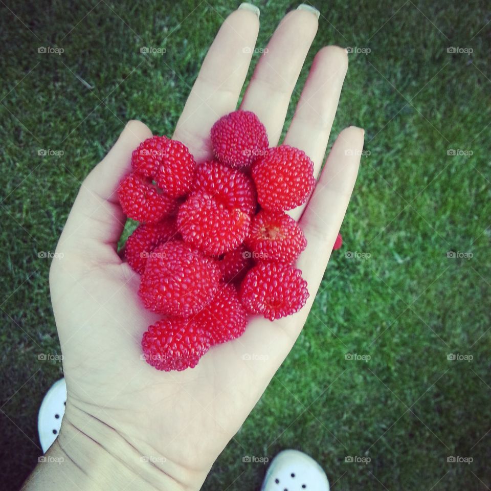Strawberry raspberry on a palm
