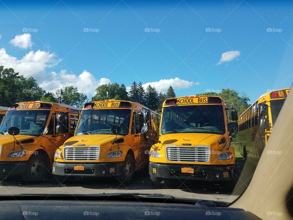 bus lineup