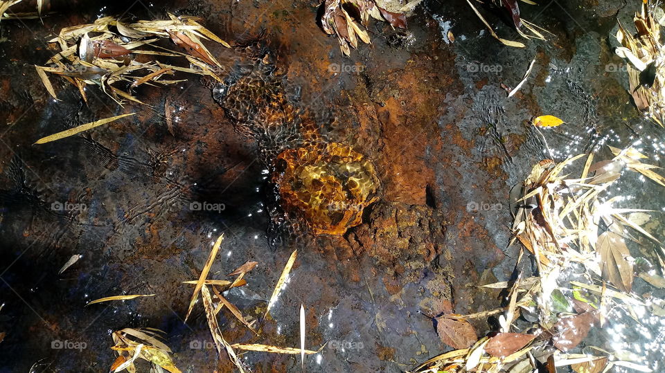 LEITO DE PEDRA DO RIACHO