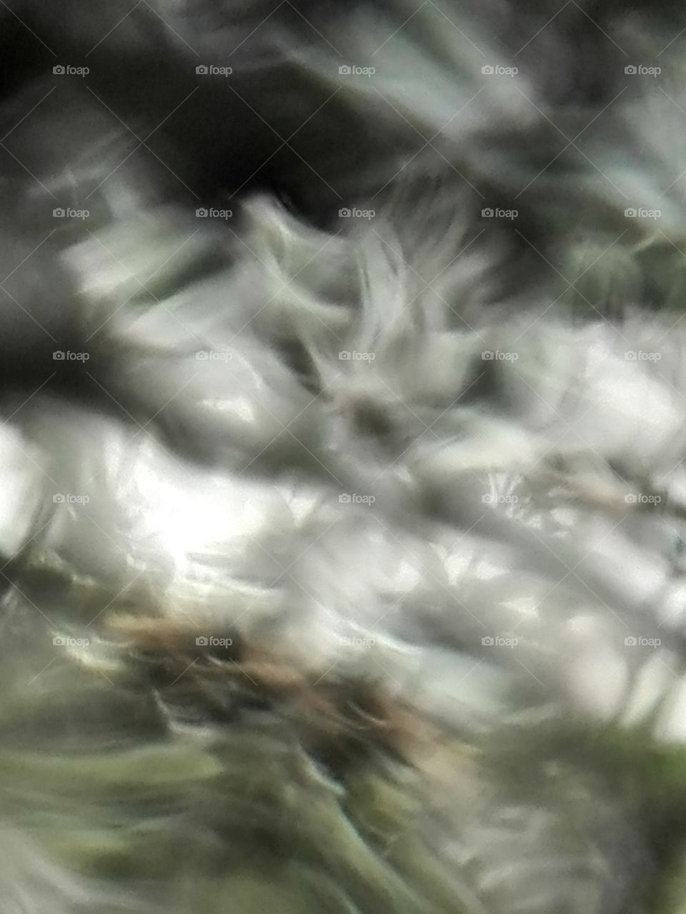 Playing with rain drops