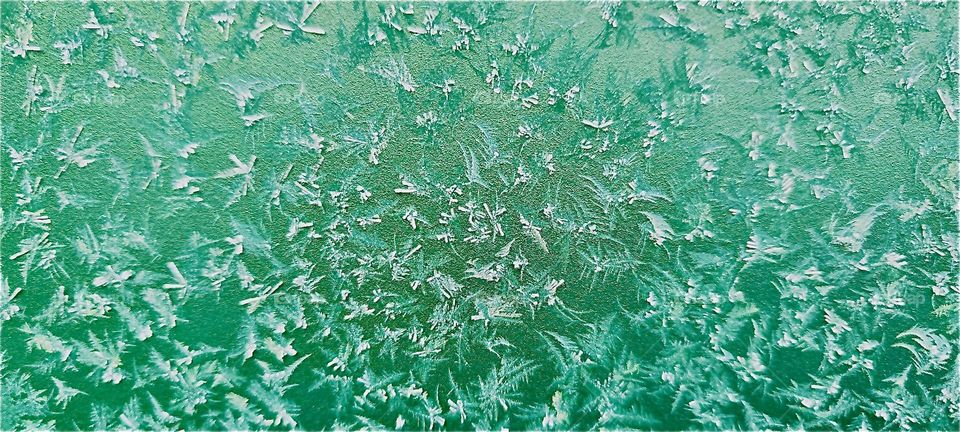 Ice crystals that formed early in the morning now appear to be „flaking pff“ but due to the still below freezing temperatures there is no danger that our floral inspired work of art made of ice will disappear prematurely. 2023. Hypnotic Productions