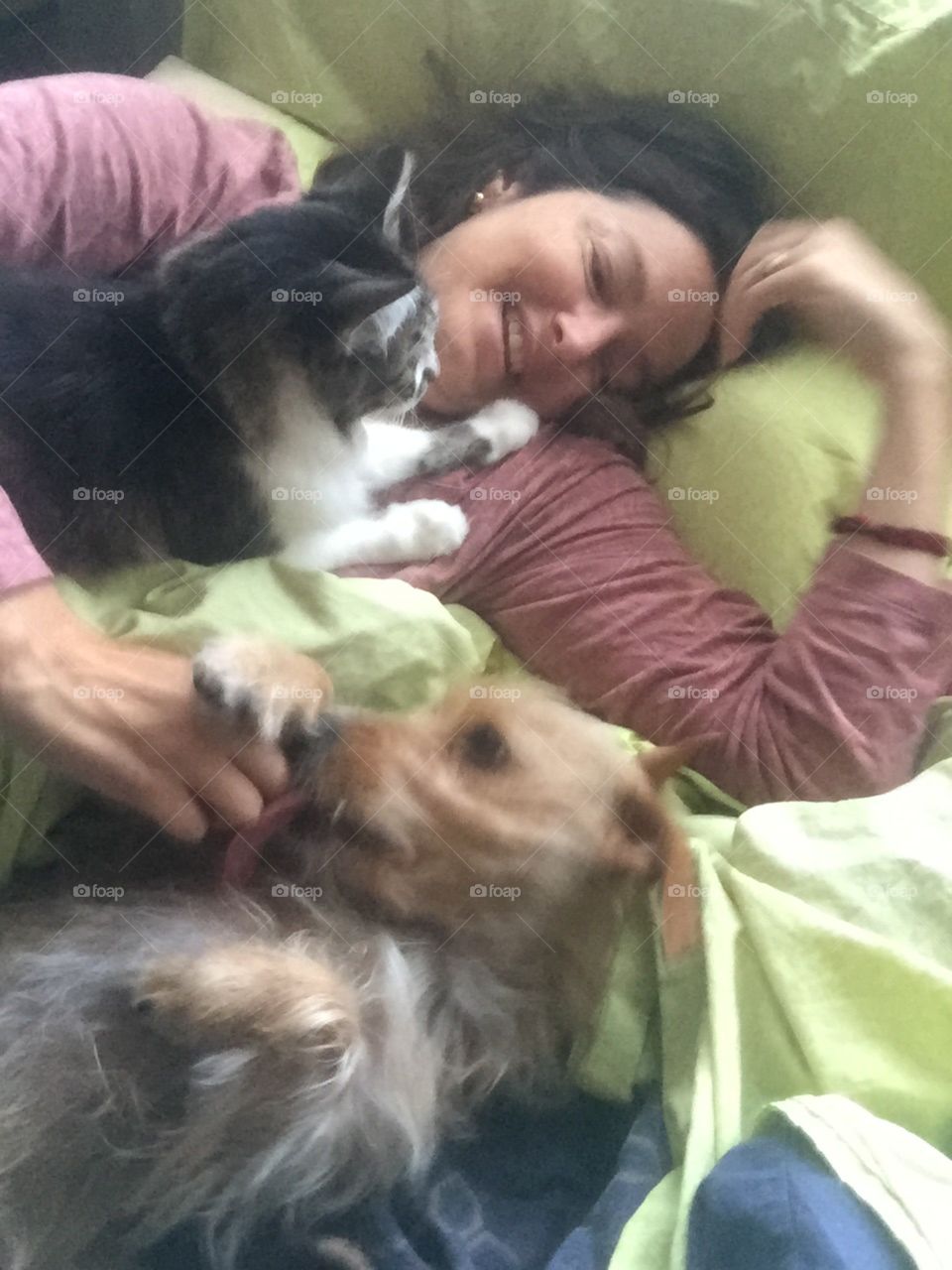 Cuddle buddies. Cat and dog cuddling with human 