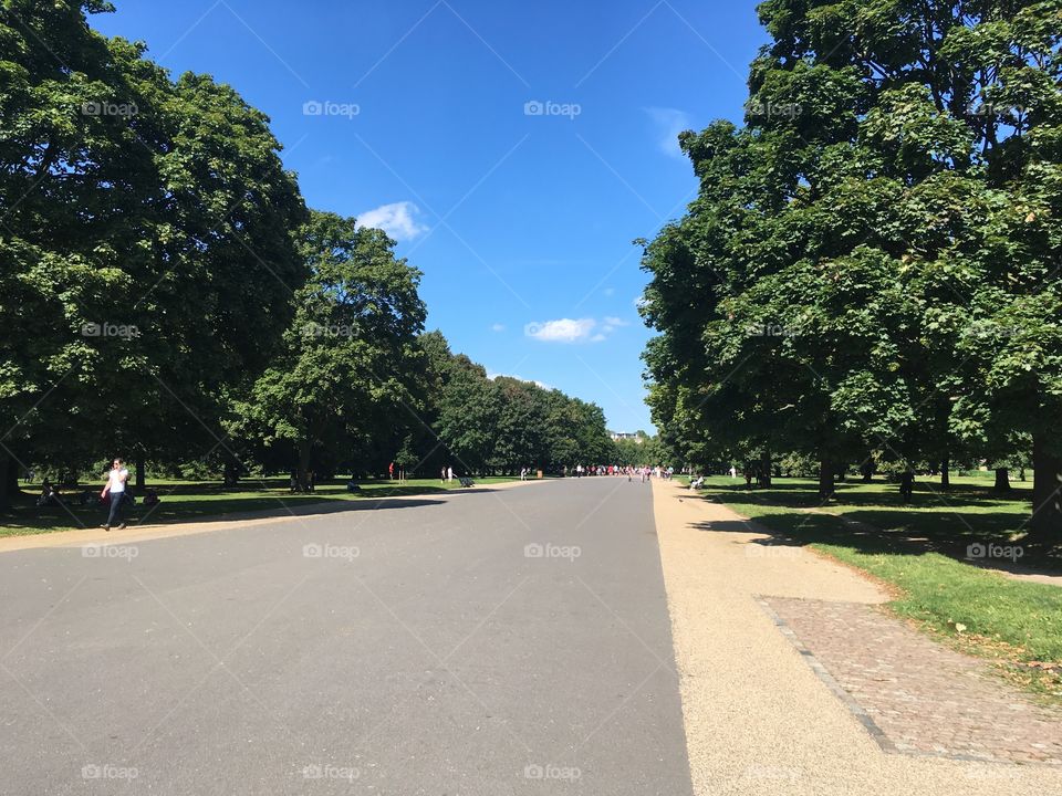 A huge pathway in Kensington Gardens in London on a beautiful summer day 