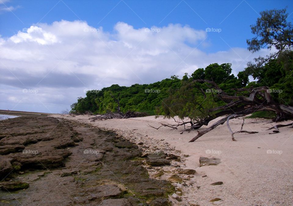 Lady Musgrave Island