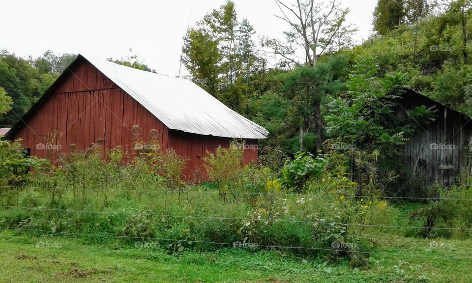 Barn