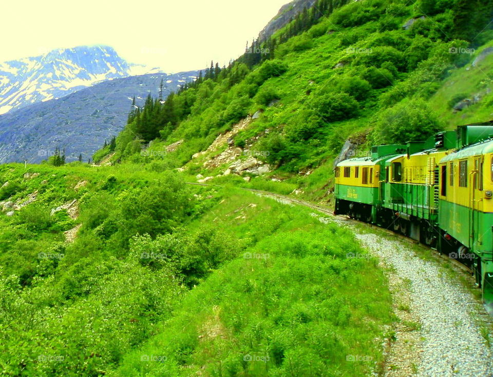 Green Alaskan Train