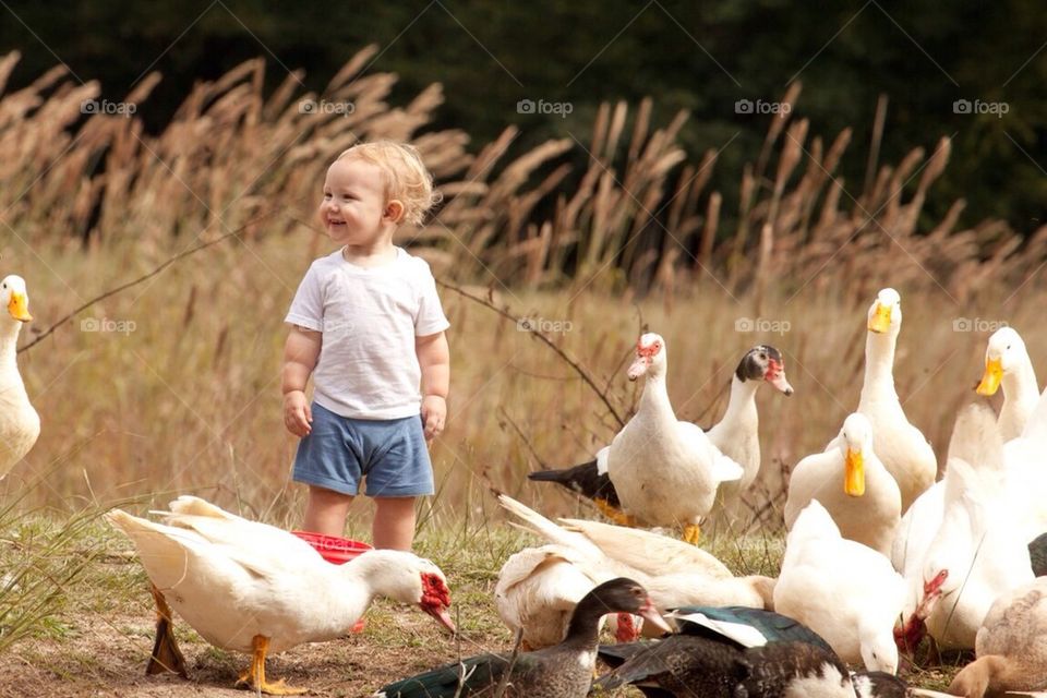 Babies and ducks 