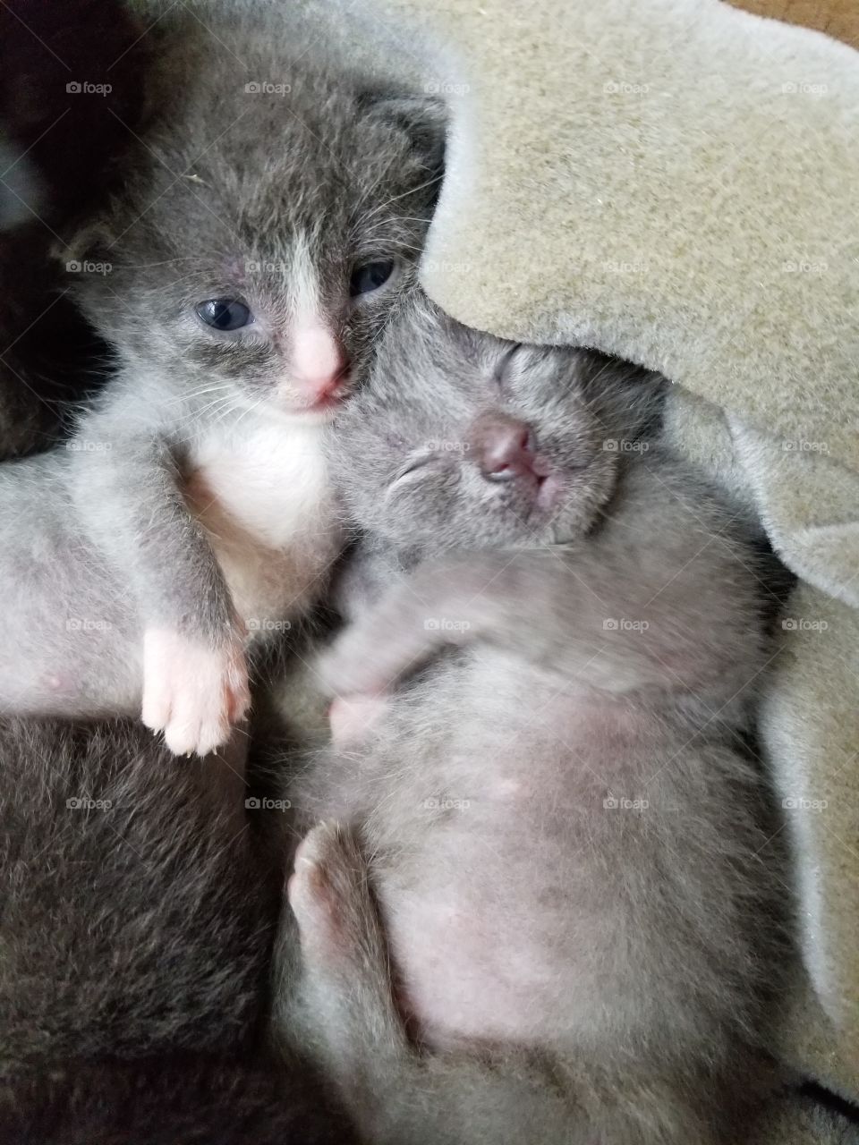 Snuggling with brother is the best!